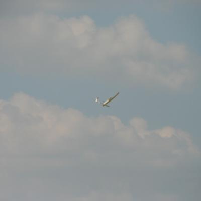 2013-07-07 16.21.54