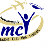 Logo amcy